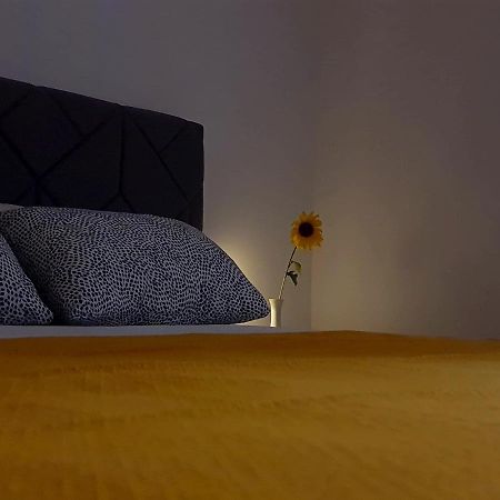 Casa Bella - Vracar Leilighet Beograd Eksteriør bilde